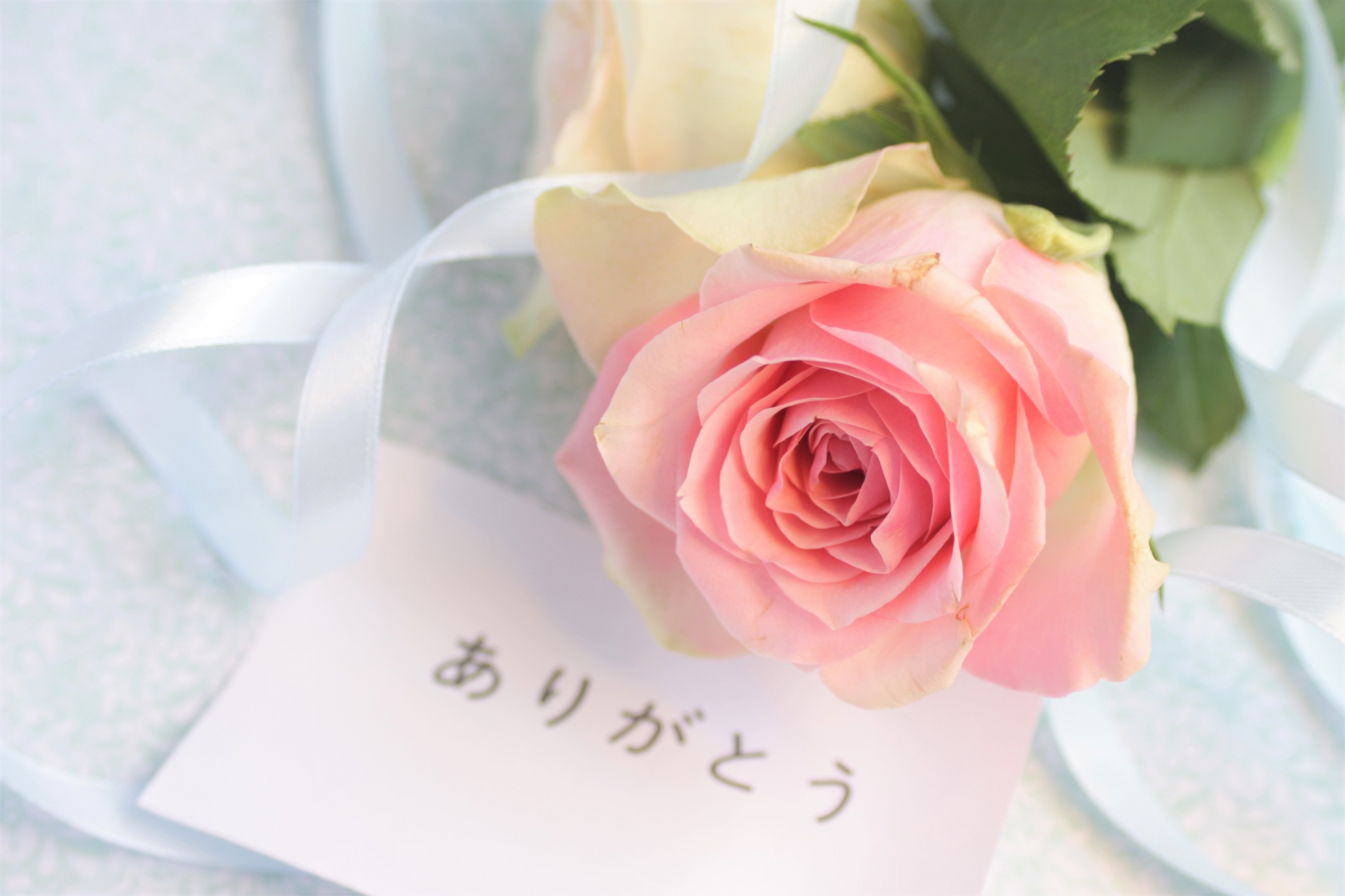 父の日ありがとう