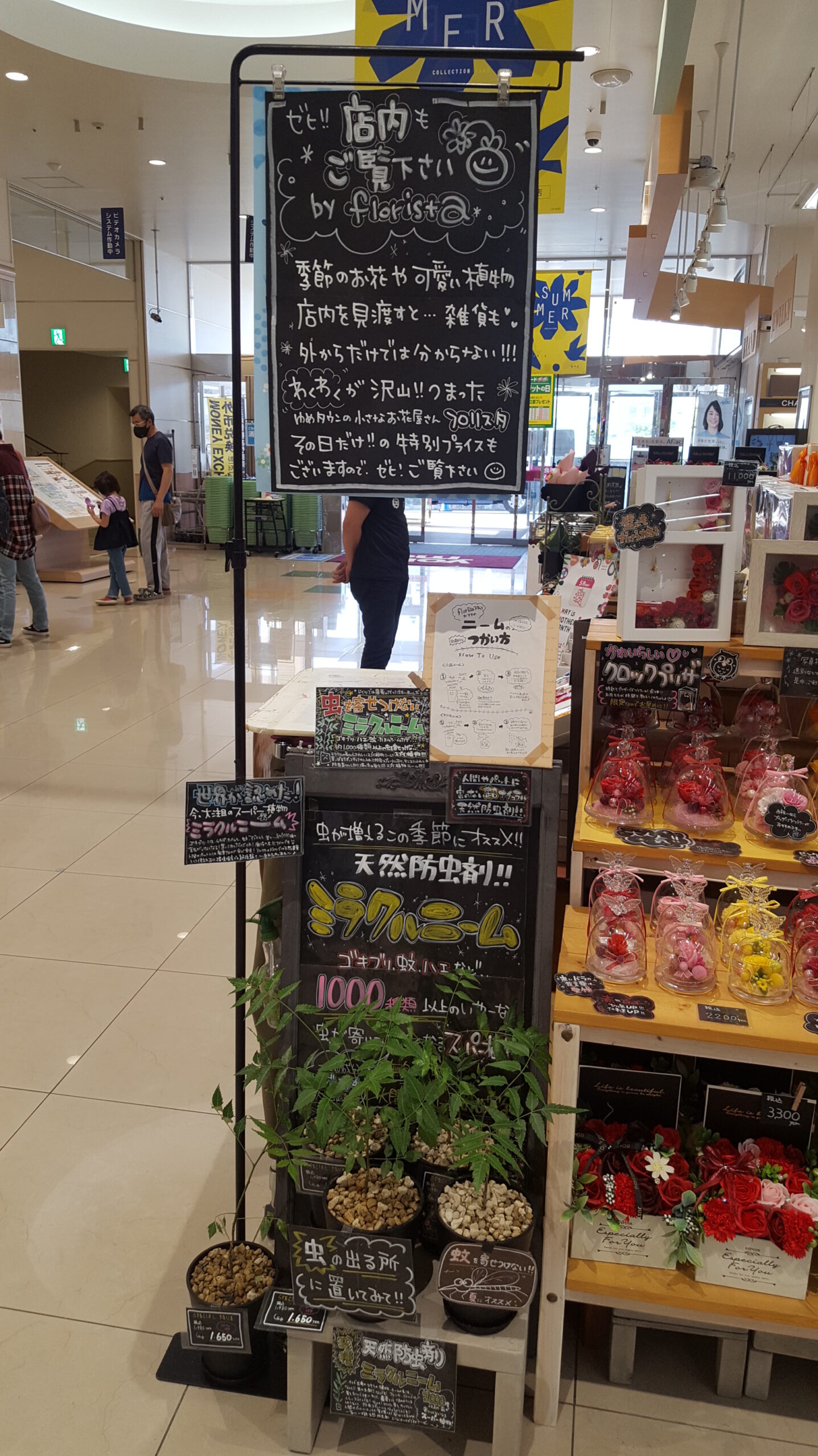 別府のお花屋さんフロリスタ 花があるだけでメリット満載 別府温泉 湯あがり本舗