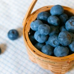 大分でブルーベリー狩りを満喫！夏休みの思い出におすすめ！【ベリージュファーム】
