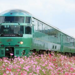 特急ゆふいんの森で大分県観光を楽しもう！　乗車中の楽しみ方とおすすめゆふいんの森グッズをご紹介